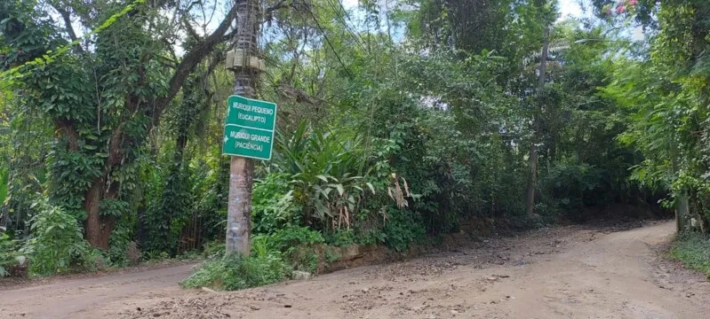 No local, conhecido como ponto se desova, não há câmeras, nem foram encontrados testemunhas do caso