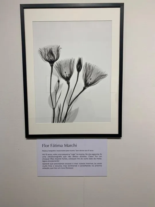 Mostra reúne 15 imagens de flores capturadas no mamógrafo por médica radiologista que é fotógrafa e também teve a doença