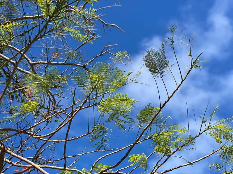 Temperaturas permanecem frias no fim de semana, entre 15°e 28° C