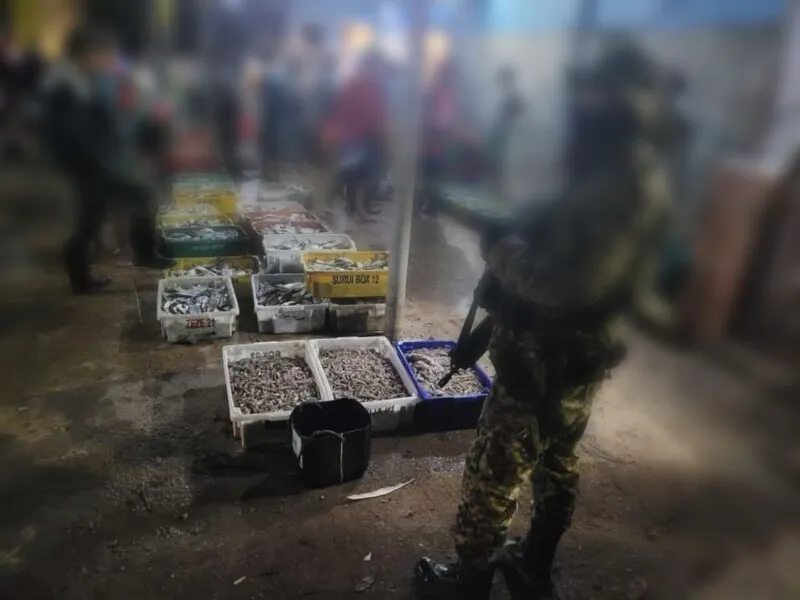 O pescado apreendido foi distribuído para uma instituição localizada no bairro Porto da Pedra