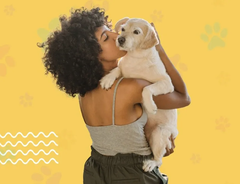 Feira Pet  acontece no São Gonçalo Shopping