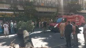Árvore tombada na Rua da Carioca nesta manhã