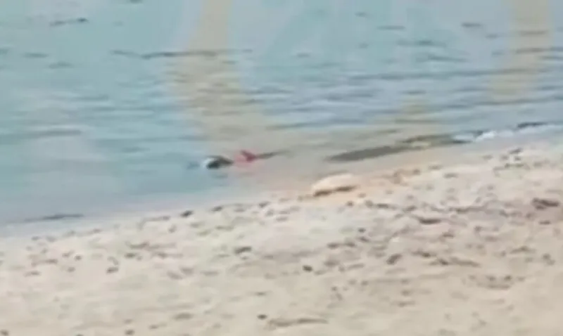 Agentes da Guarda Municipal encontram homem morto na lagoa de Araruama