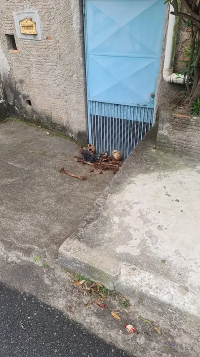 89ª DP (Resende) está investigando caso; restos estavam em frente à residência no bairro Cidade Alegria