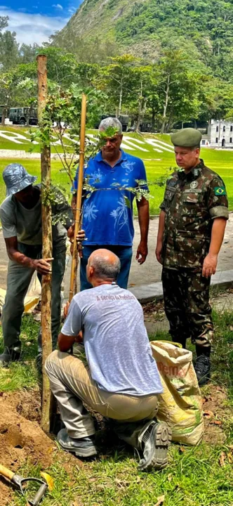Primeiras 50 mudas plantadas foram de pau Brasil