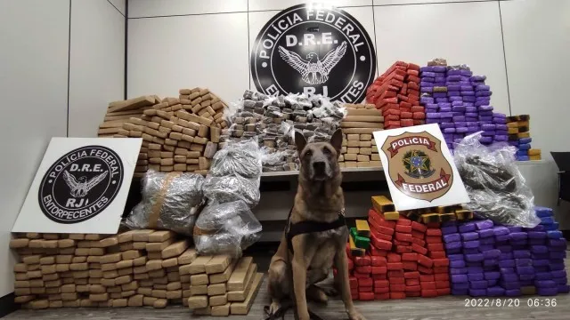 Material apreendido com auxílio do Cão Apollo