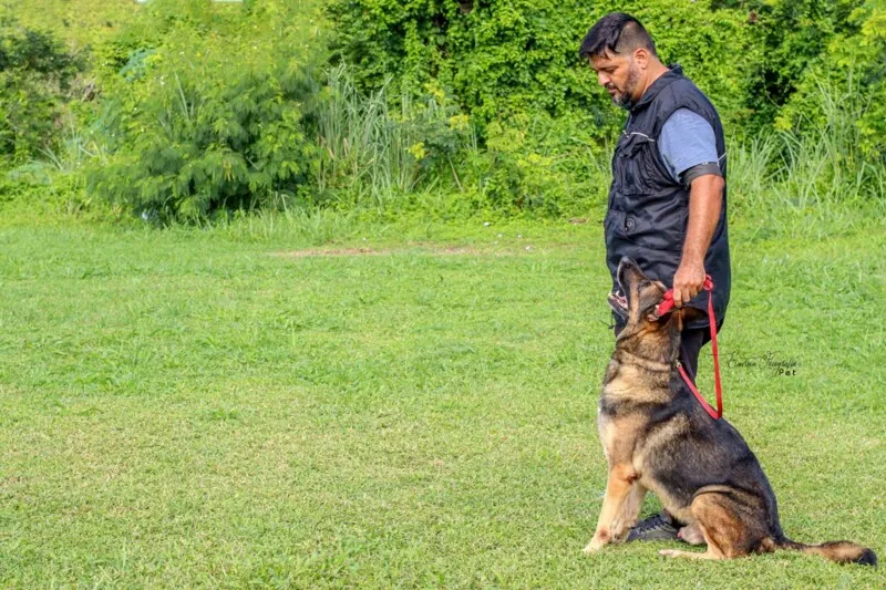 Serão 40 vagas, com duração de 14 semanas