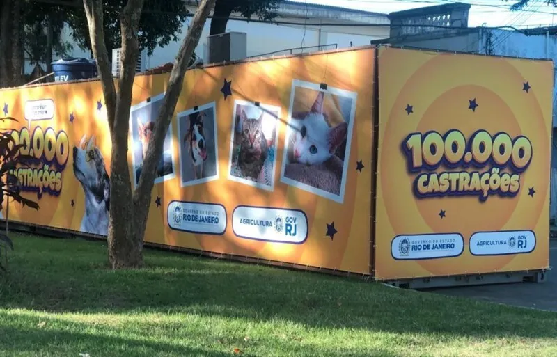 Até o momento mais de 130 mil animais já foram castrados