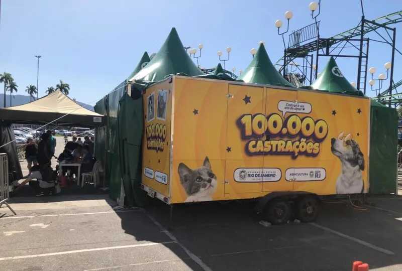 Mais de 100 mil animais foram castrados até julho deste ano
