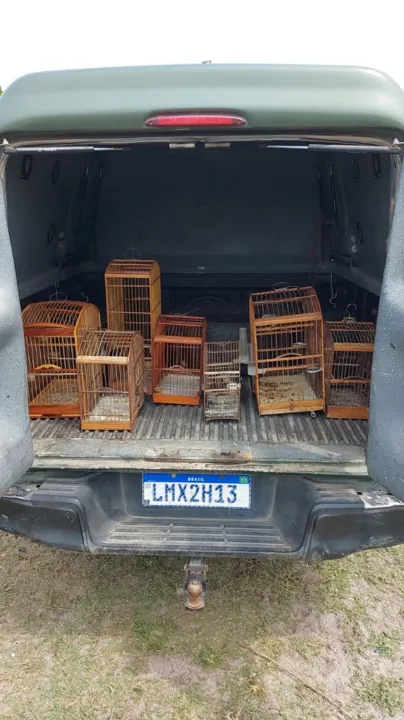 Os agentes encontraram  três tizius, três canários da terra e um sanhaçu