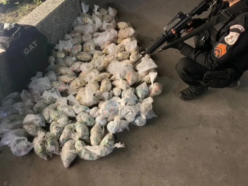 As drogas, distribuídas em sacos plásticos, estavam escondidas no fundo falso do veículo