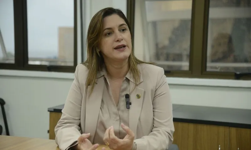 Atendimentos devem começar em 2023