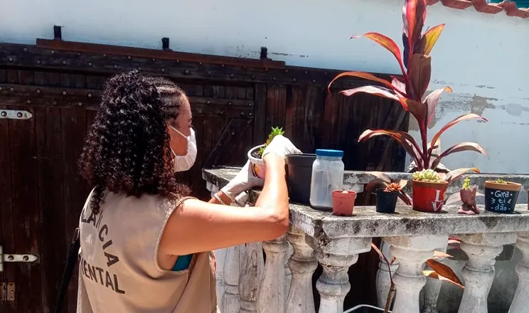 Objetivo é impedir transmissão de doenças como dengue, zika e chikungunya