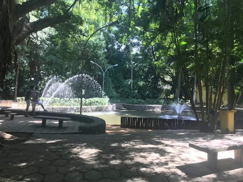 Horto Fonseca