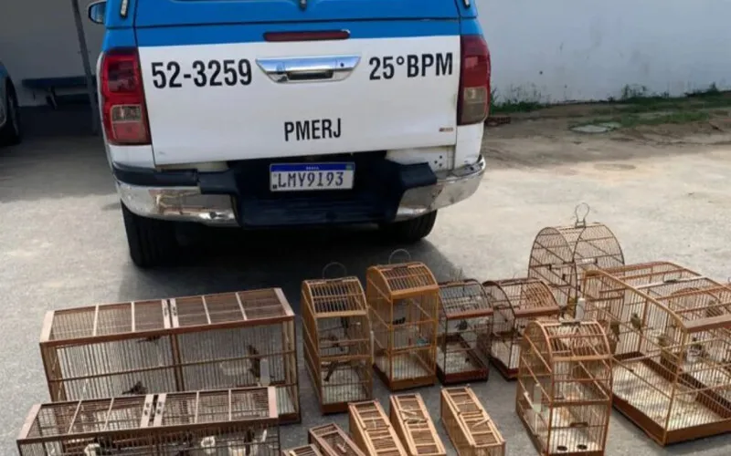 Durante a ação, foram encontrados 23 pássaros da espécie tiziu, 7 coleiros, 5 canários e um trinca ferro