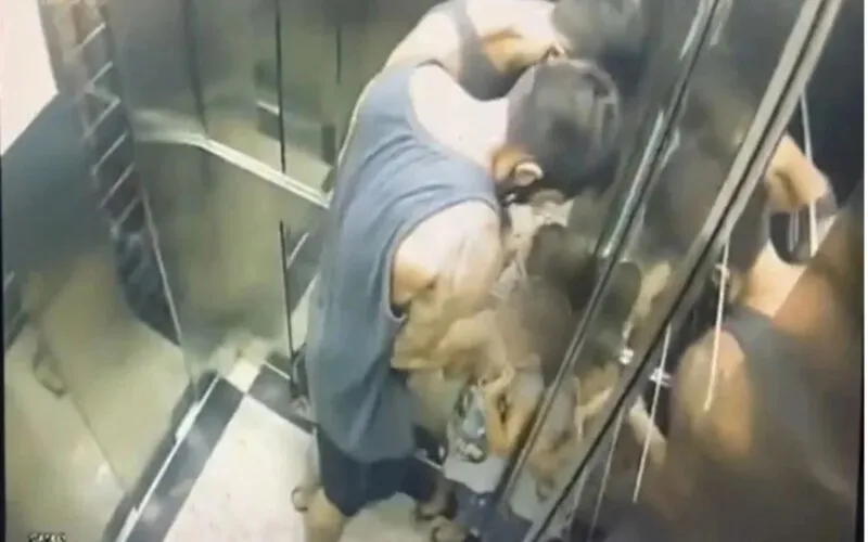 Caso aconteceu em fevereiro deste ano, mas imagens foram divulgadas nesta quinta-feira