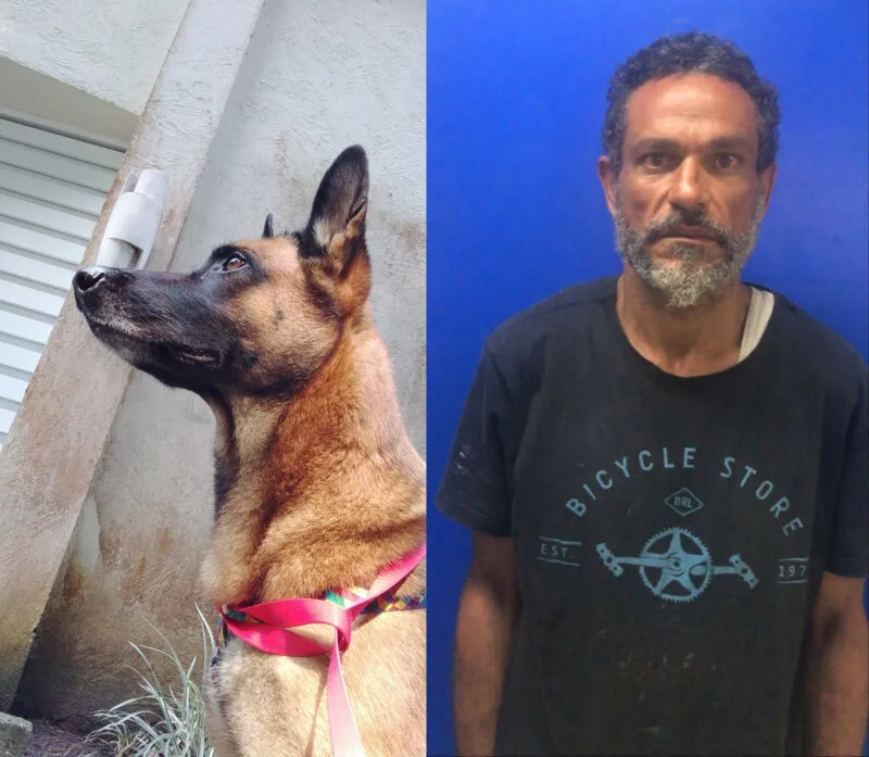 Allan Kardec era acusado de assaltar cinco pessoas com o animal