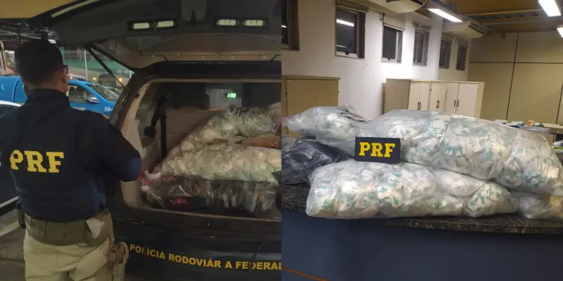 Material foi encontrado por agentes da PRF; motorista foi preso
