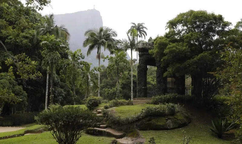 Acervo do Jardim Botânico será revitalizado