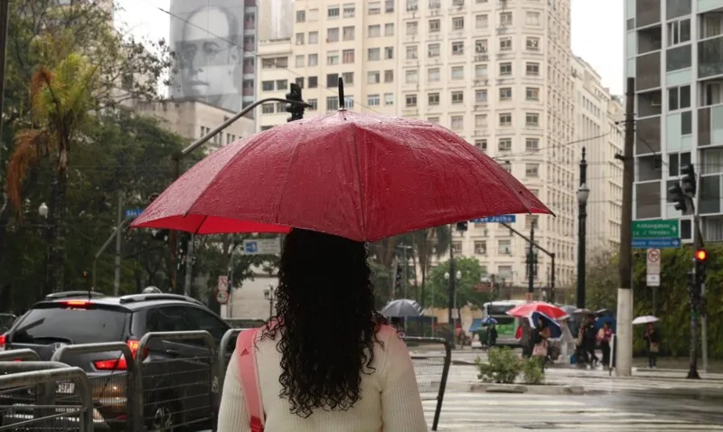 Segundo o Inmet, há previsão de “grandes volumes de chuva, raios e rajadas de vento” na Região Sul e parte das regiões Sudeste e Centro-Oeste