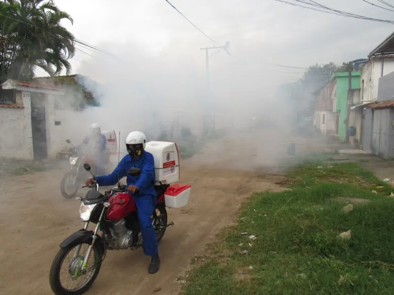 Motofogs