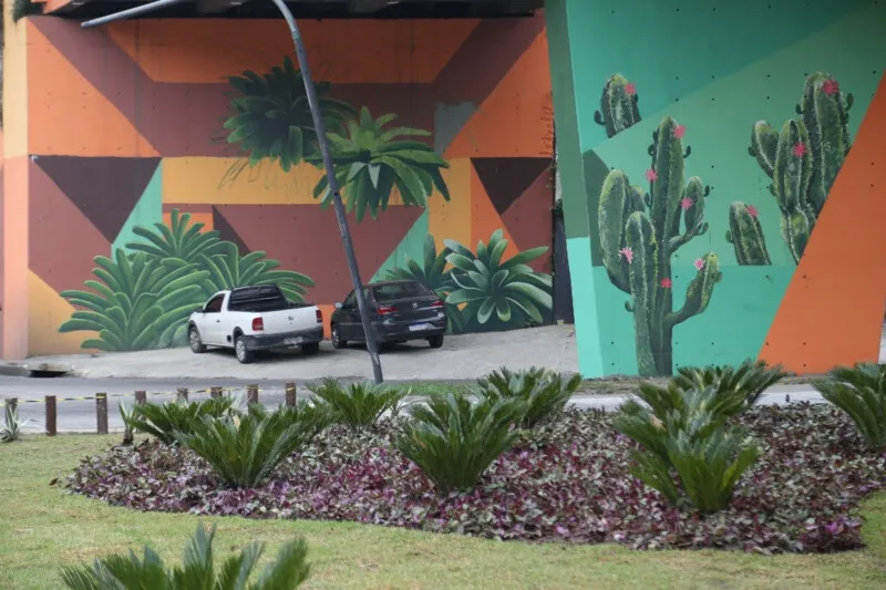 Quase duas mil plantas estão sendo plantadas no viaduto de Maria Paula