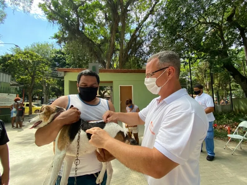 Campanha foi dividida em quatro etapas, cada uma delas em uma região diferente da cidade
