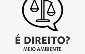 A FÚRIA DO MAR DE ATAFONA