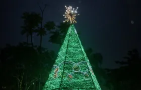 Árvore de Natal é inaugurada no Barreto, em Niterói