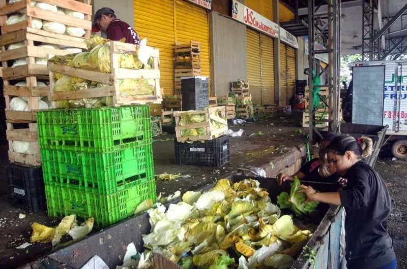 O desperdício de alimentos no Brasil é estimado em R$ 61,3 bilhões por ano