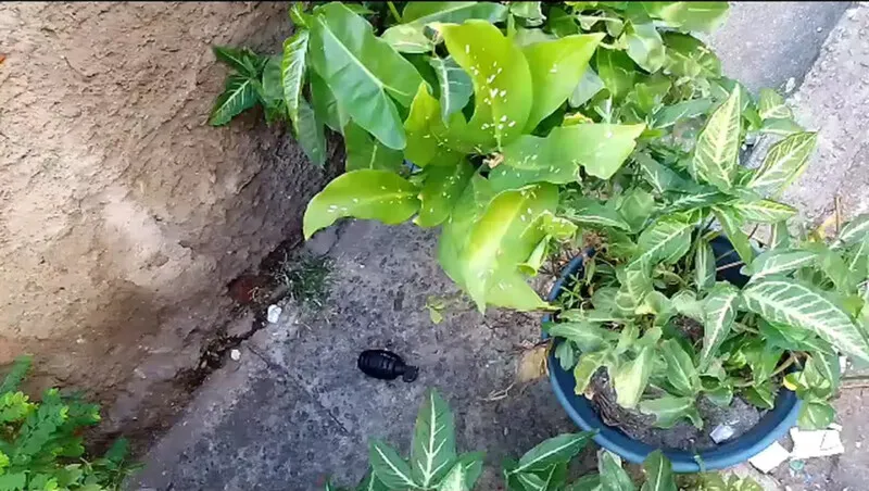 Relatos de moradores especulam que arteafto pode vir a explodir em caso de movimentos bruscos