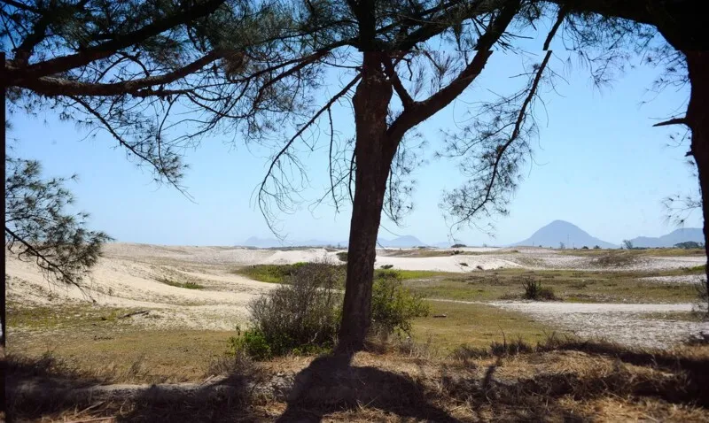 Área de restinga em Maricá