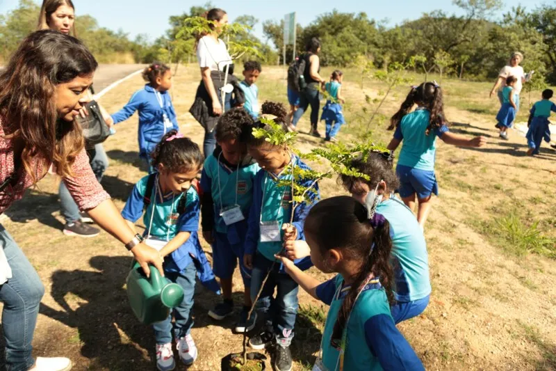 Neste domingo, haverá uma série de atividades para os visitantes da feira