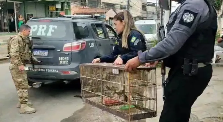 A ação aconteceu em Duque de Caxias