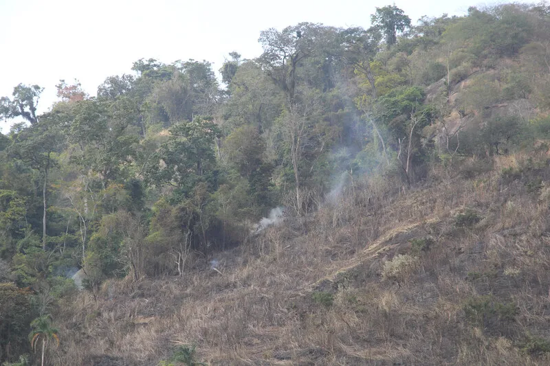 Não houve feridos no incêndio