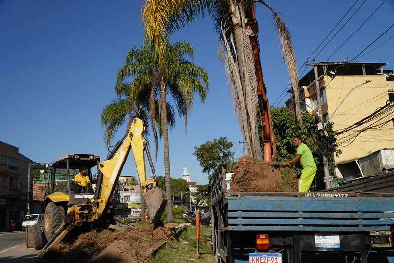 Todas as espécies são produzidas no Horto Municipal