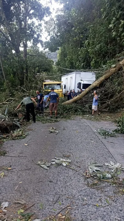 Obstrução foi causada por árvores que caíram durante vendaval