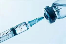 As vacinas estão sendo desenvolvidas por pesquisadores da UFMG