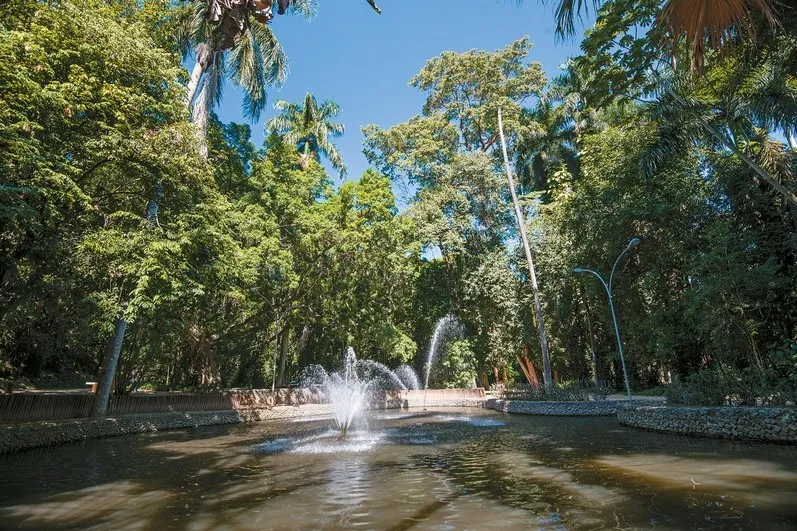 A atividade é gratuita e voltada para os maiores de 60 anos