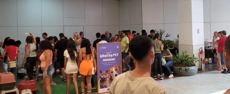 A partir das 11h, os visitantes do empreendimento vão poder conhecer cães e gatos que estão em busca de novos tutores