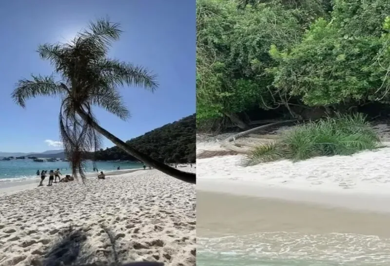 Antes e depois do famoso coqueiro da Praia do Dentista, em Angra dos Reis