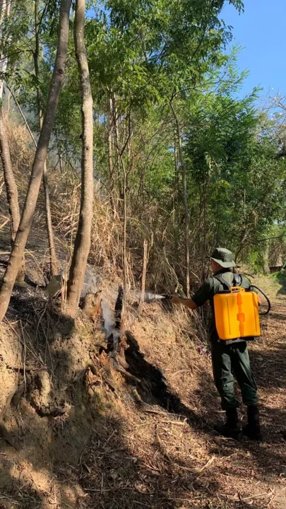 Durante mais de duas horas, eles utilizaram abafadores e sacos costais para fazer a contenção do fogo