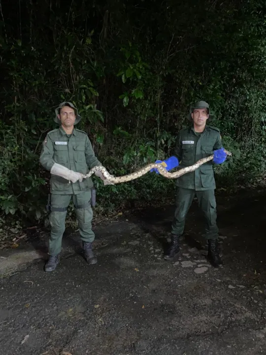 O serviço de resgate de animais silvestres da Prefeitura de Niterói é realizado por agentes treinados