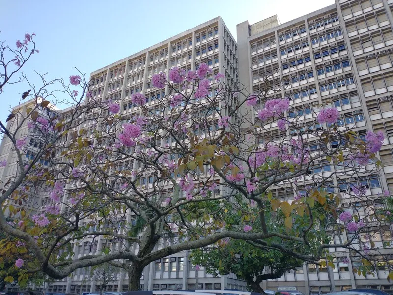 Uerj Maracanã