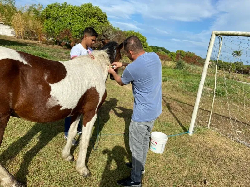 Ainda não há suspeitas do que pode ter ocasionado o ferimento