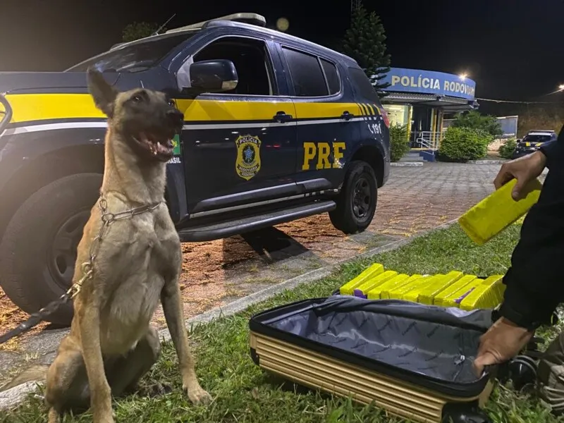 O flagrante aconteceu na Rodovia Presidente Dutra (BR-116), em Piraí, na noite de quarta-feira (24)