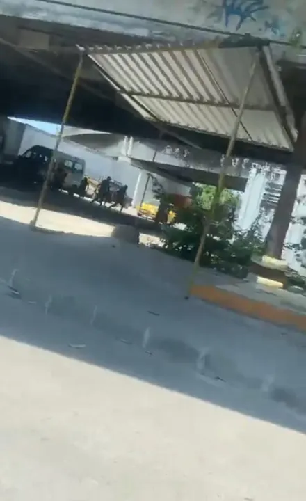 Manifestantes correm após arremessar objetos na linha Vermelha