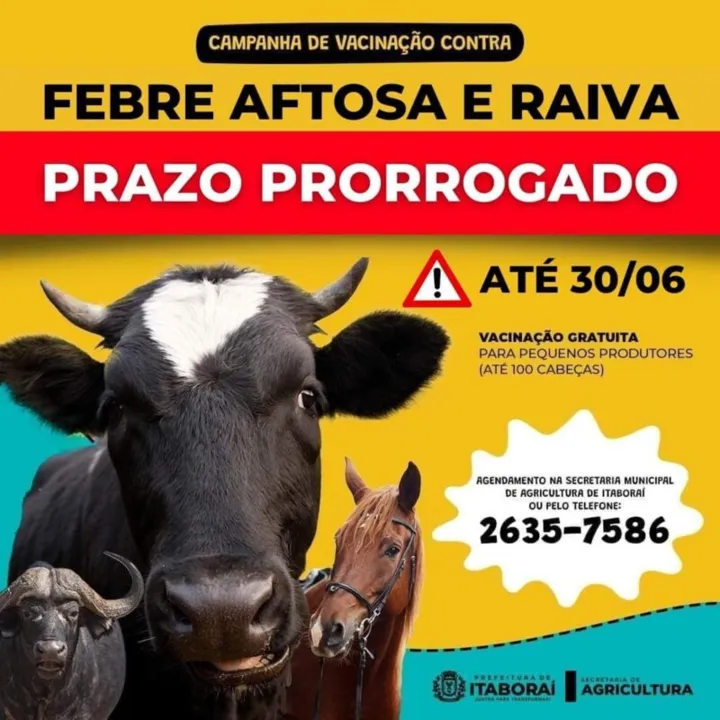 Prorrogado prazo para vacinação contra a febre aftosa em Itaboraí