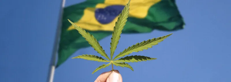 Imagem ilustrativa da imagem STF volta a adiar o julgamento sobre porte de maconha