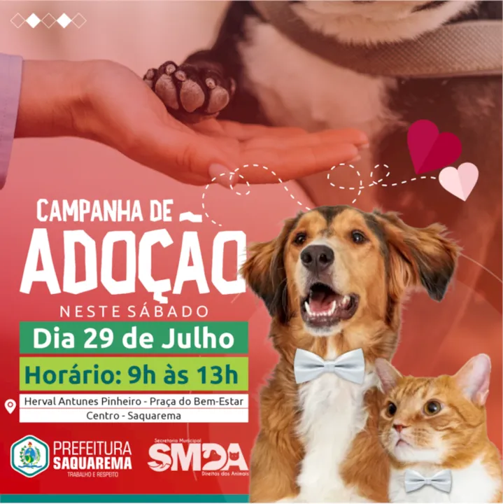 Para mais informações, basta entrar em contato com a equipe da Secretaria Municipal dos Direitos dos Animais através do e-mail